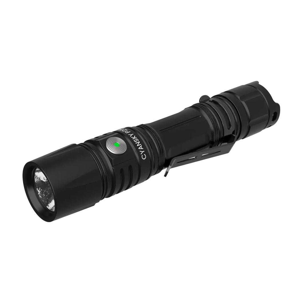 P25 V2.0 Outdoor Floodlight Flashlight