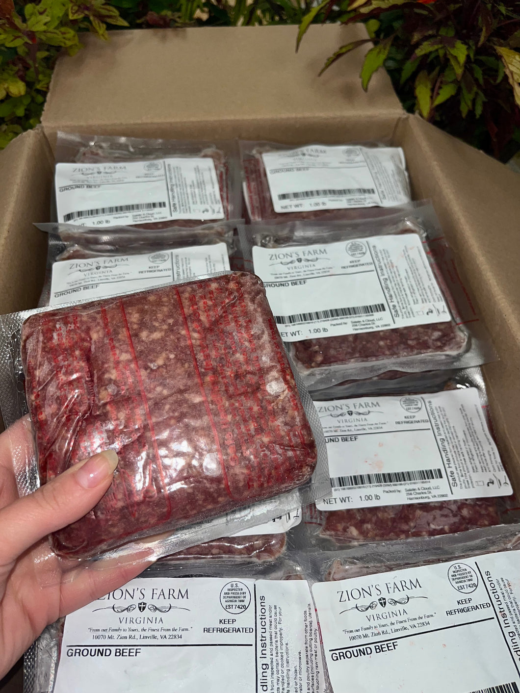Case of Zion's Black Ground Beef (Local Pick-Up or Delivery)